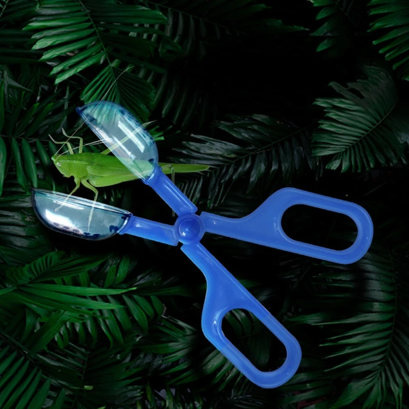 Reptiles Feeding Tongs and Cleaning Tool Lizard Beetle Insect Catch Clamp Poop Cleaning Tool for Tortoise Frog Spider