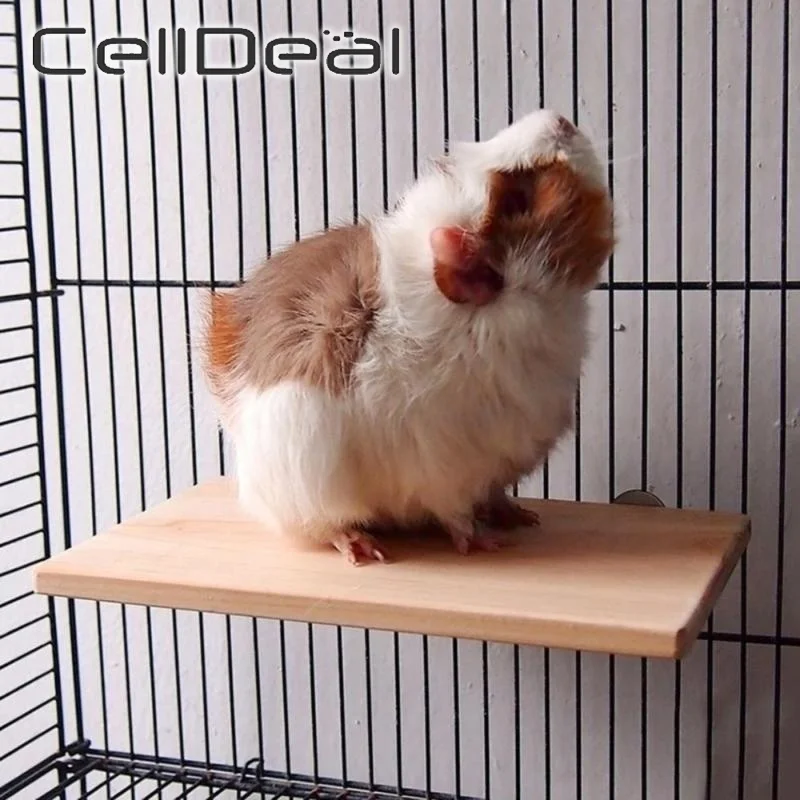 Cage-Accessories Perches Platform Wood-Toys Parrot-Rack Hamster Grinding Gerbils Mice