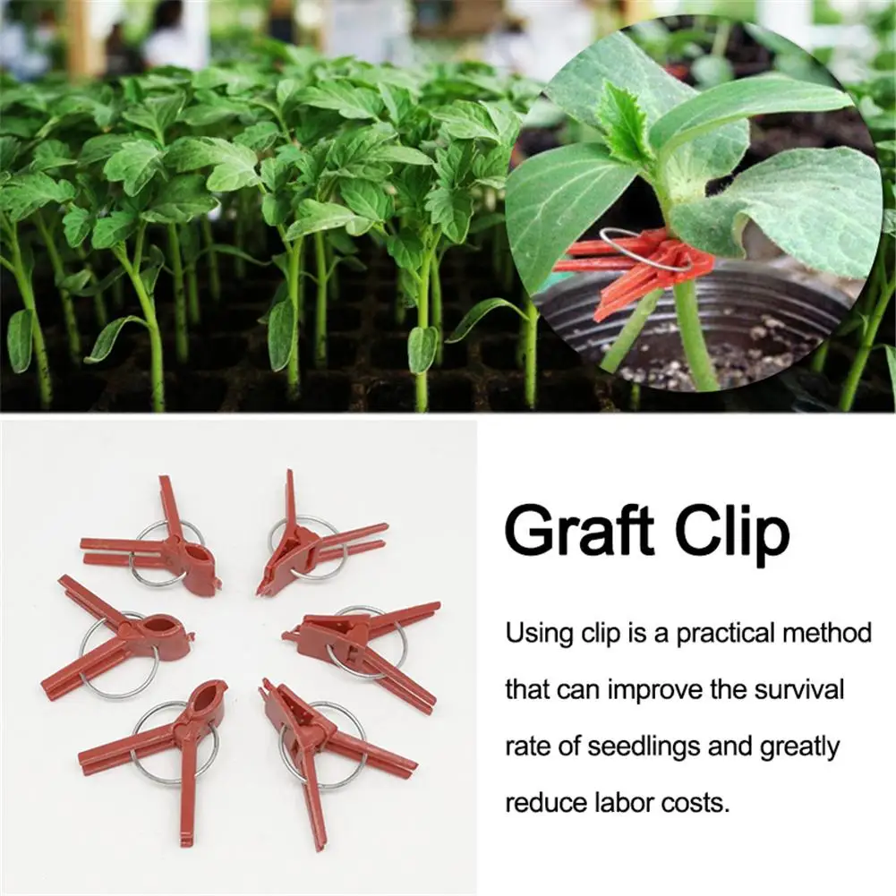 

100Pcs/Pack Protective Plants Reusable Tools Vine Seedlings Support Flat And Round Durable Flower Grafting Clip Garden Vegetable