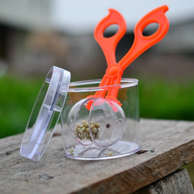 Nature Exploration Toys Kit Kids Plant Insect Study Tool-Plastic Scissor Clamp Tweezers Inset Round Head Scissors Clamp Toys 4