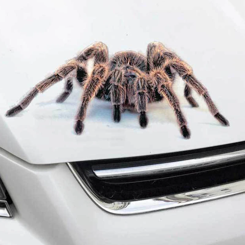 3D настенные наклейки в виде животных Паук геккон скорпионы виниловая наклейка на стену Наклейка для дома Автомобили Авто Мотоцикл покрытие царапины Декор