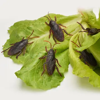 

Simulation April Fool'S Day Toy Fake Scorpion Gecko Flies Small Strong Whole Scorpion Fake Cockroach Scary