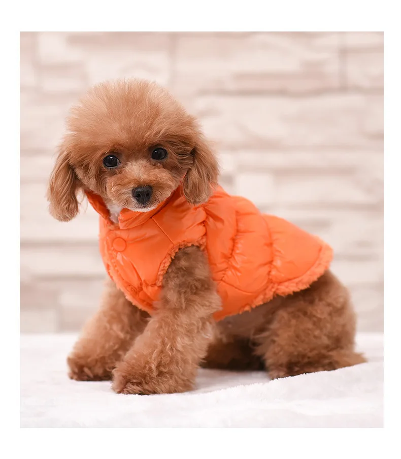 Winter pet dog clothes warm clothes for small dogs Chihuahua Teddy bear casual clothes pet vest clothes dog clothes down jacket