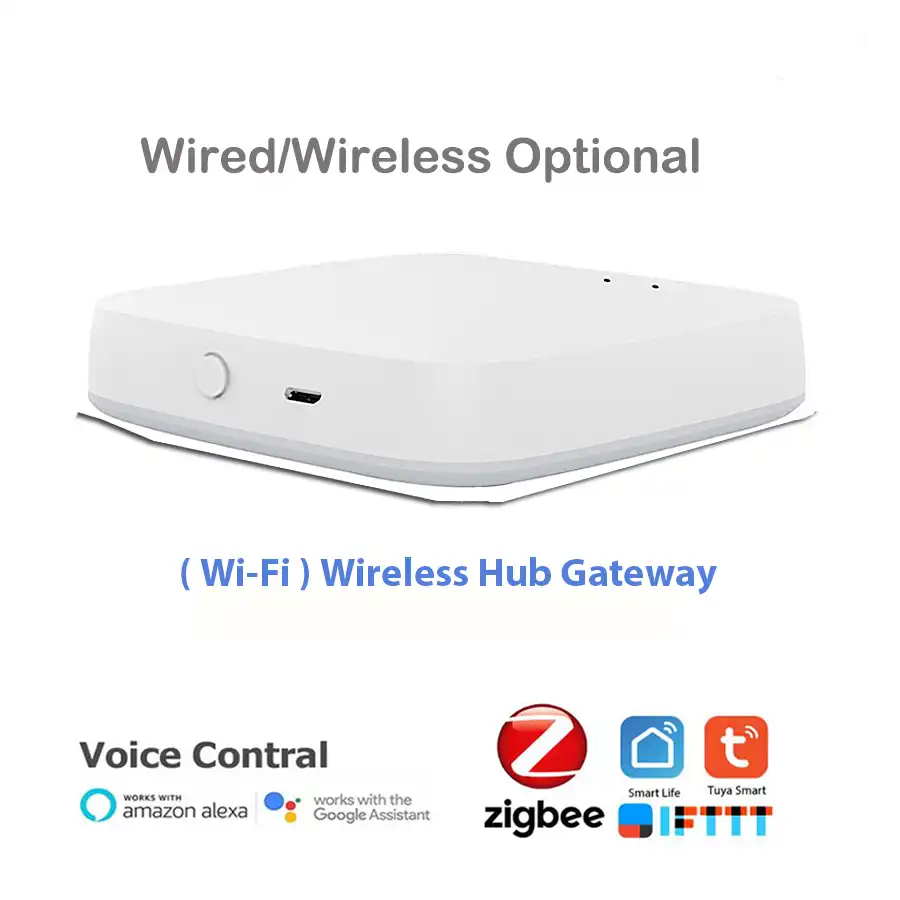 google home hub remote access