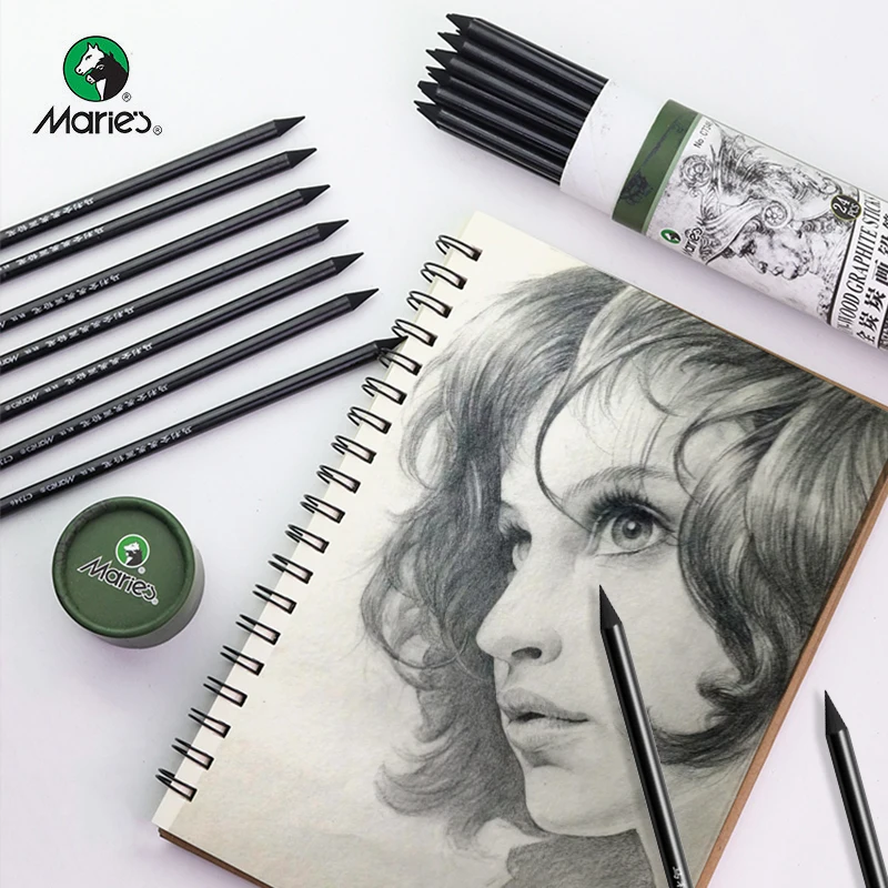 Marie's Full Charcoal/Carbon Pencils 24pcs Soft/Medium Non-wood Graphite Sticks Pens Painting Charcoal Pencil Students Supplies