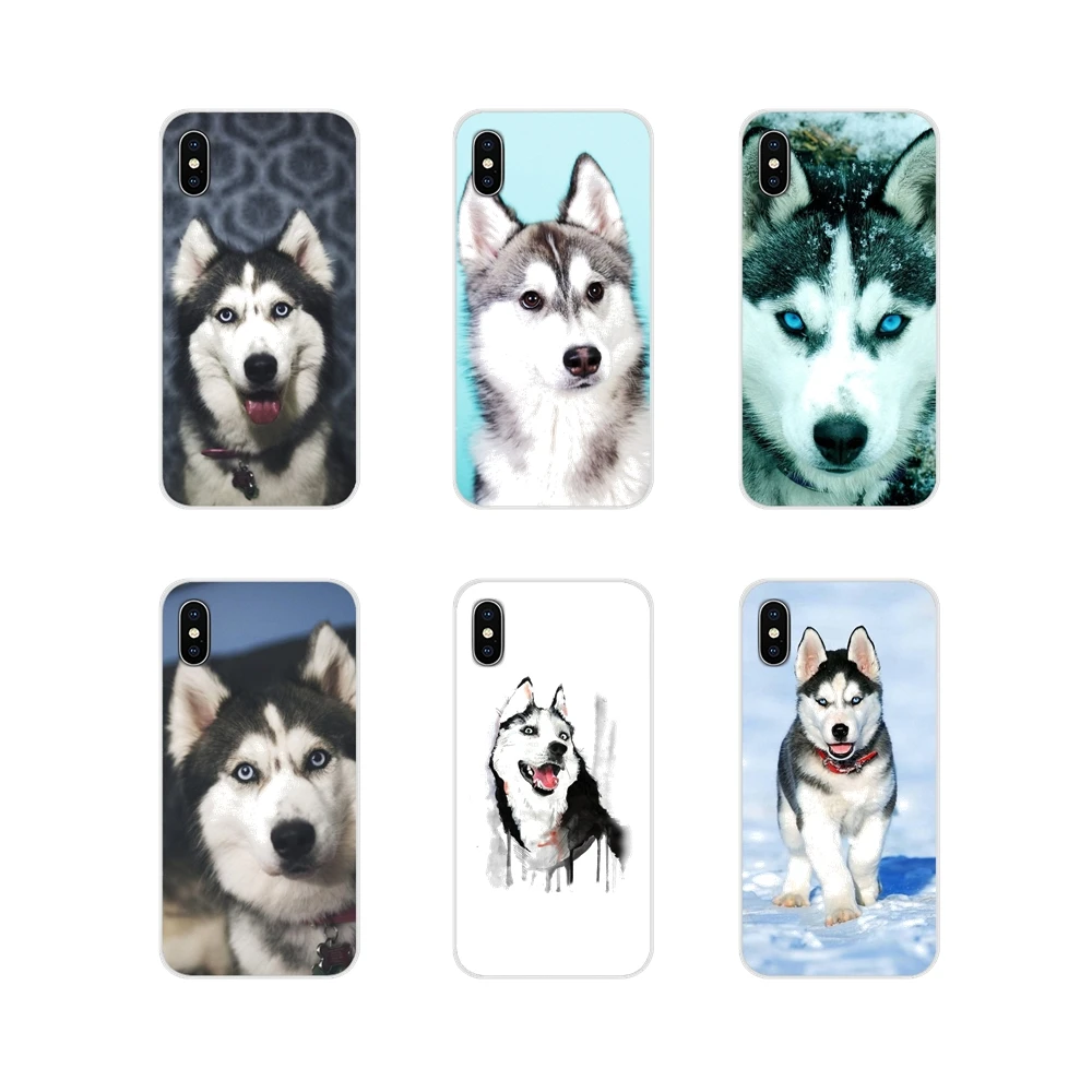 husky accessories