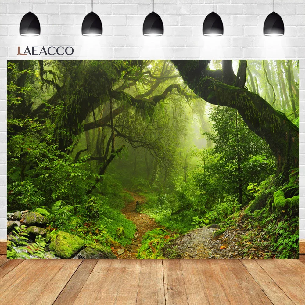 Laeacco    Ĺ  Ĺ ڿ ǳ      ʻȭ  