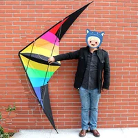 Outdoor Fun Sports 2.2m Power Dual Line Stunt Kite Good  Flying 1