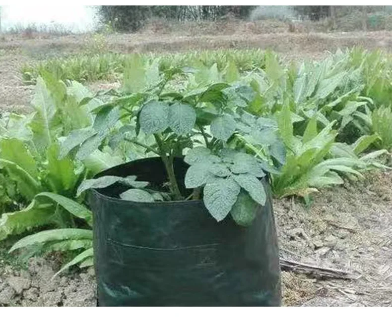 10387572815_1596666809