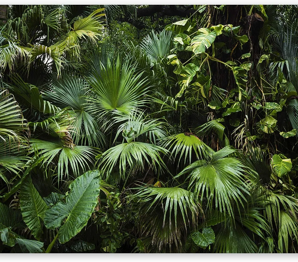 A1sgcvzqkqL._AC_SL1500_