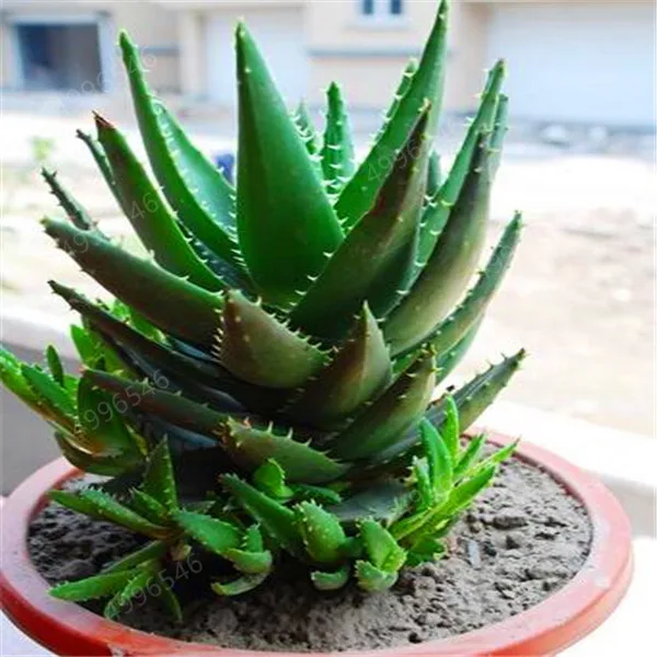 u=3562586235,1910642728&fm=200&gp=0