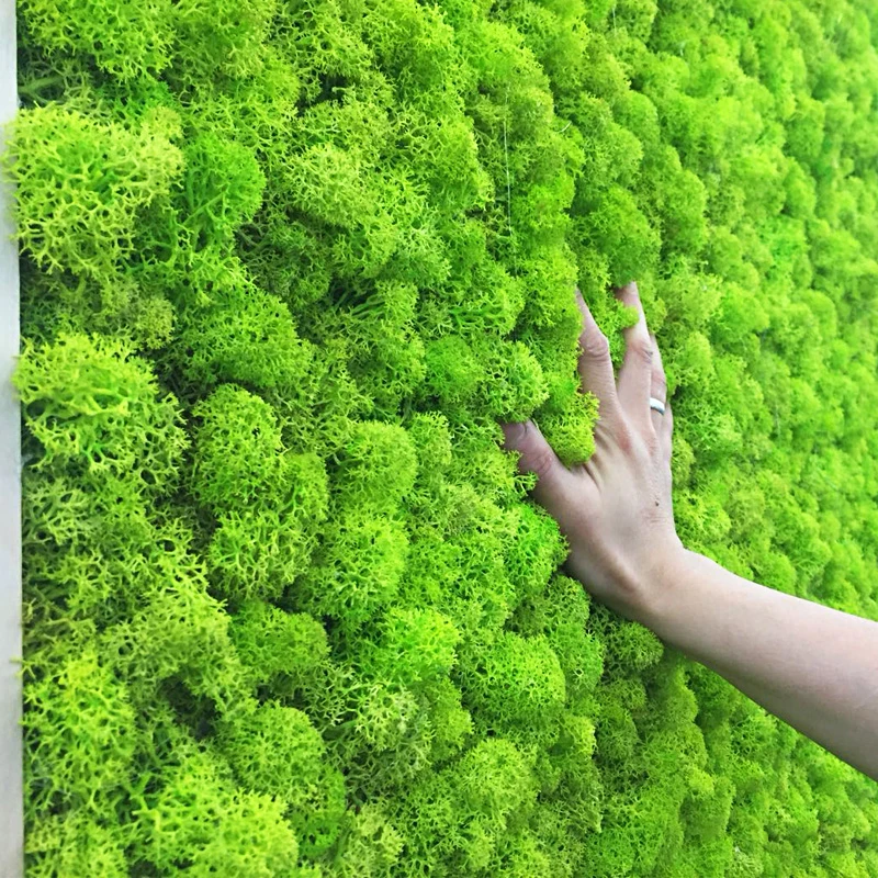 

Simulation Moss Grass Artificial Plant Immortal Eternal Life Moss DIY Mini Micro Landscape Accessories Lawn Wedding Decor