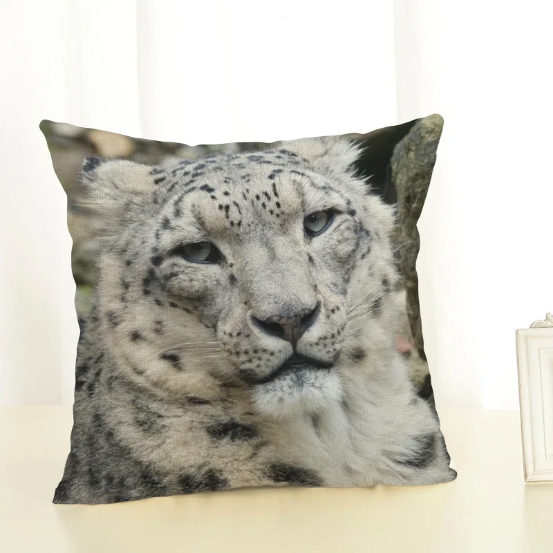 8803218220_1255064235