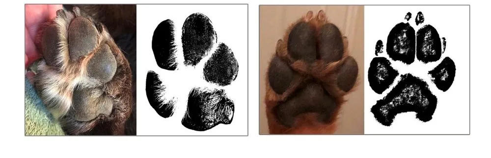 Hf7bd41c522fa4a73b41cd29c3bcc44a0G