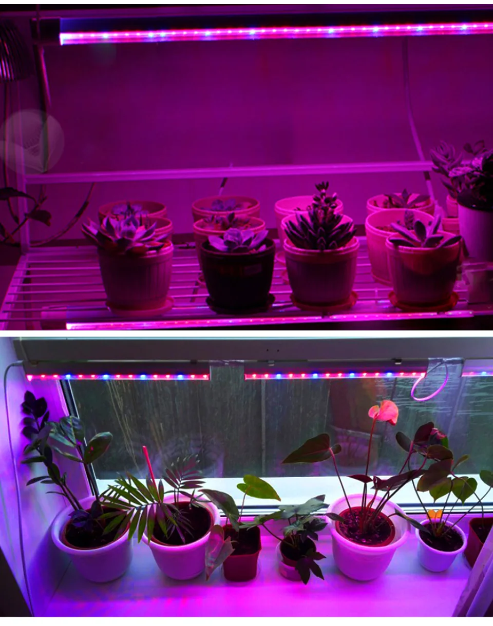 led grow light full spectrum  Grow Lighting T5 LED Phyto Lamps Grow LED Lamp  Light Hydroponic Plant Growth Light plant light
