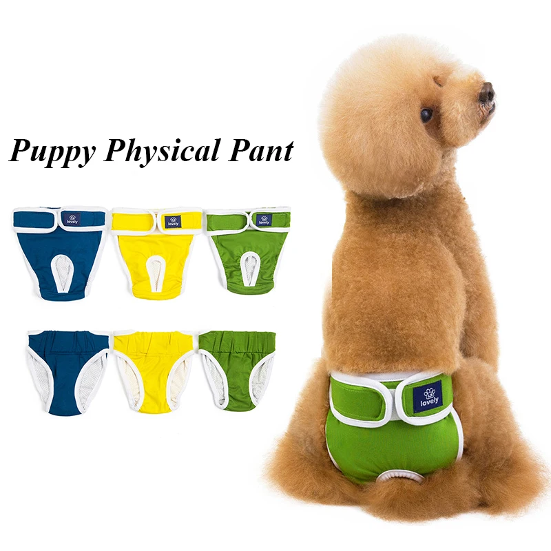 Dog Physiological Pants Solid Color Washable Diaper Washable Sanitary Panties Shorts Female Dog Briefs Pet Menstrual Pants