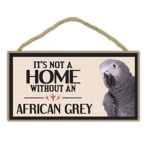 

8x12 Inch Tin Sign Decorative Bird Sign Not Home Without an African Grey Parrot