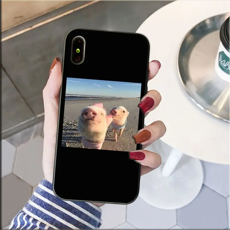 Cute Little Pink Pet Pig