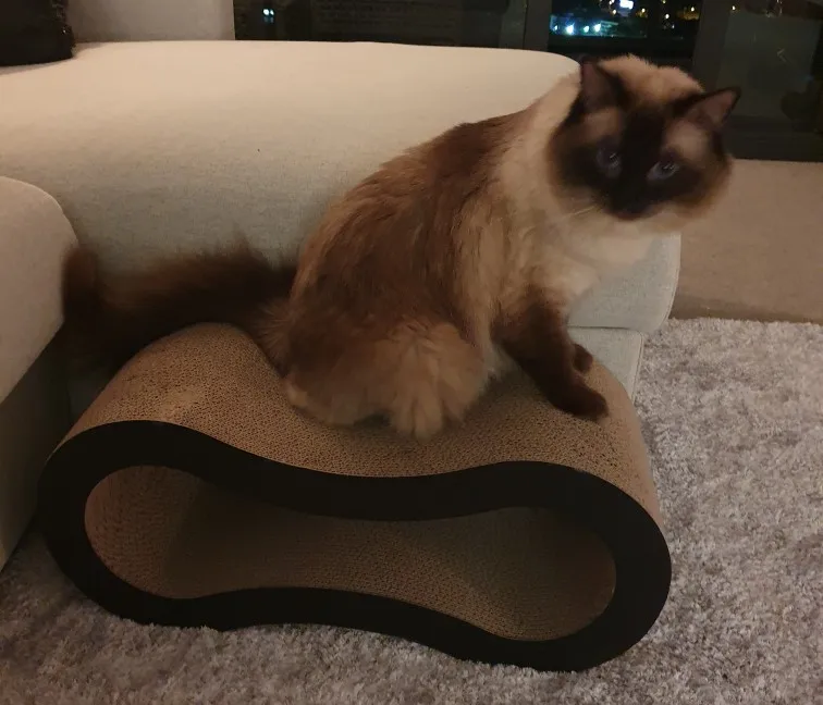 Ucd174f79a7664072baf13074ef206030O