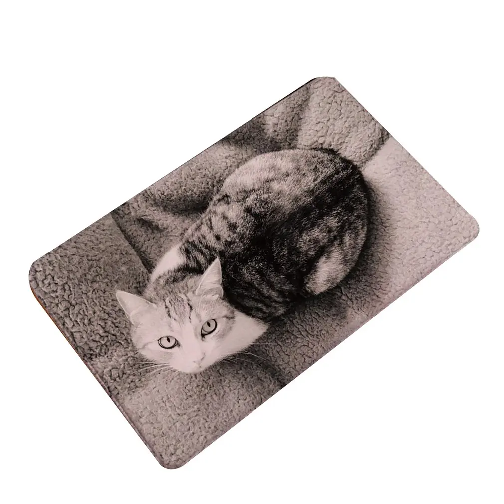 3D Kawaii Cat Print Welcome Floor Mats Bedroom Hallway Carpet Anti-Slip Soft Doormat for Living Room Kitchen