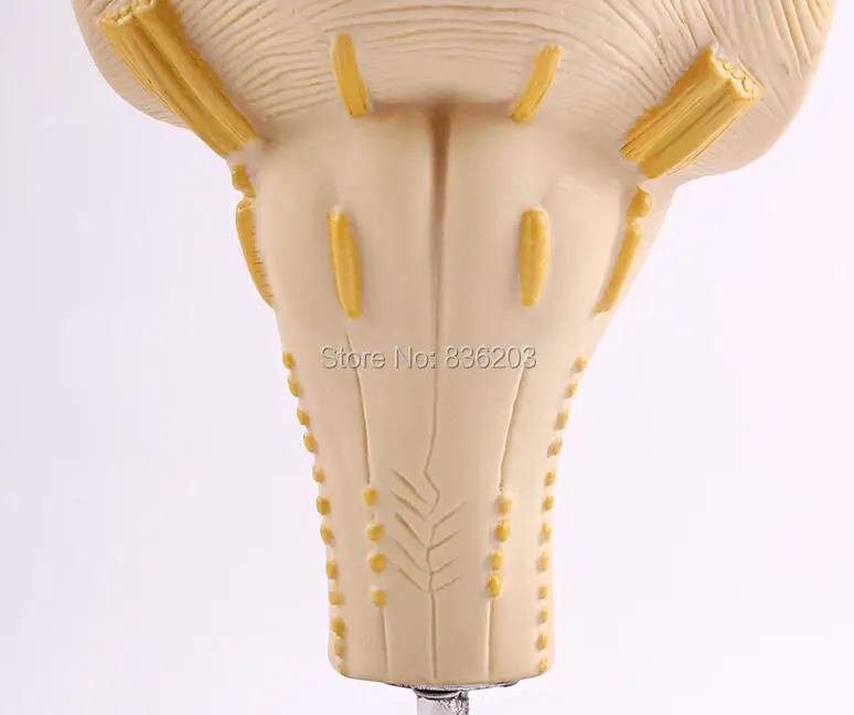 Человеческий анатомический хирургический шов набор коврик Тренировочный Набор подкладка для наложения шва с ранами анатомический Скелет моделирование кожи Practice практика