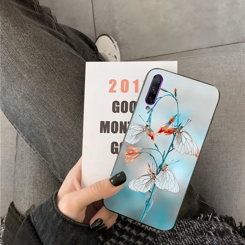 Red butterfly on white roses flower
