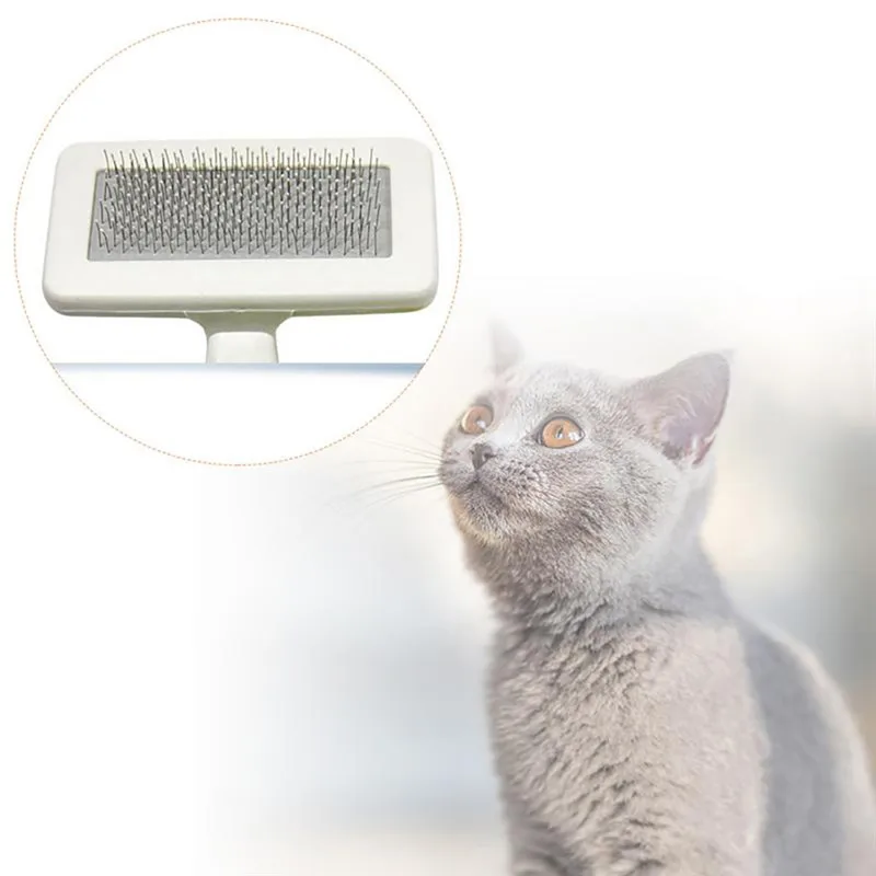 5f66105e-63e4-4225-814f-a513cdf8ca7b