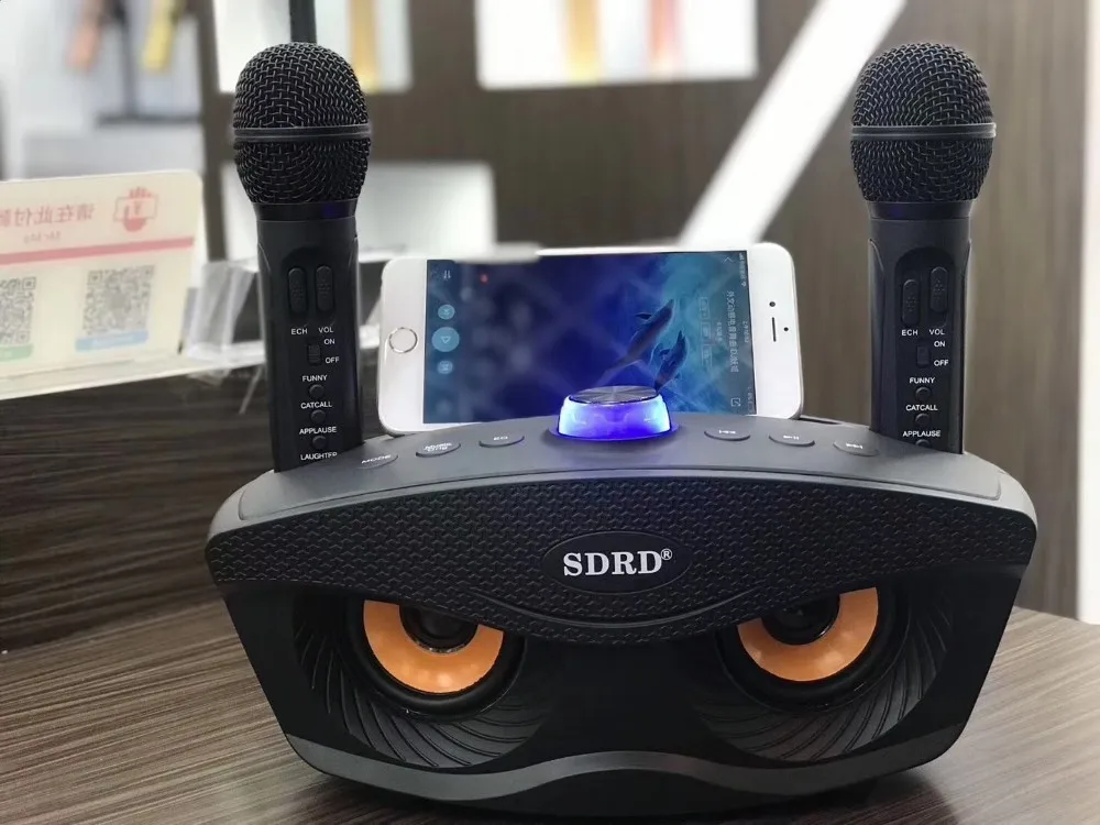 Dual Bluetooth Speaker with 2 Wireless Microphones