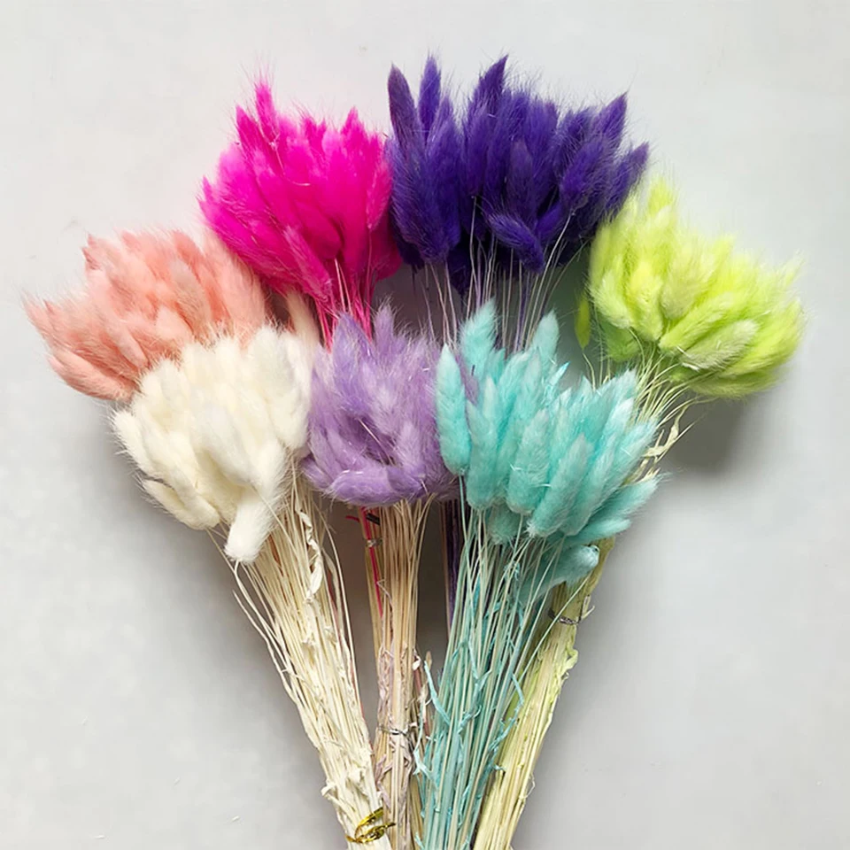 dried natural flower  (16)