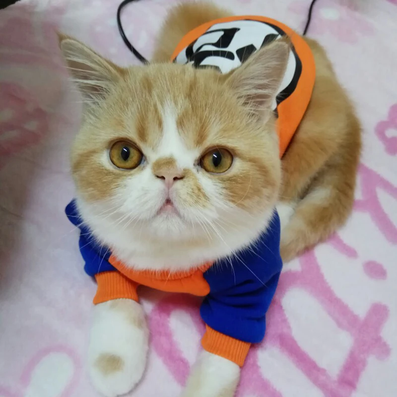 Fashion Pet Costume Pet Cat Costume Summer Cat Vest Hoodie Cozy Clothes for Cats Coat Clothing Sweatshirt Cat Clothes Cat Hoodie
