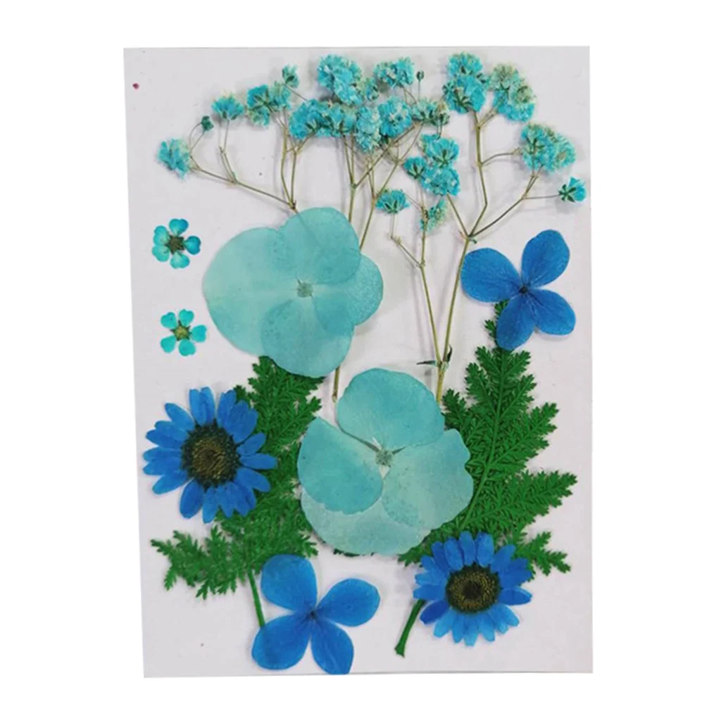 12PCS/Bag Pressed Dried Real Natural Flowers Plants for Handmade Bookmarks, Scrapbooking, Album Frame Decor, Art Paper Making