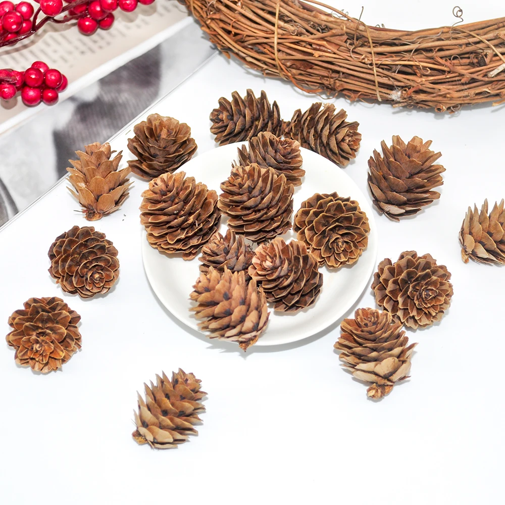 Natural pine cones (6)