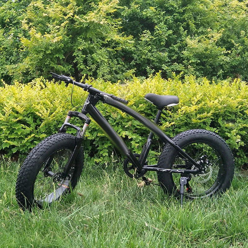 thick wheel mountain bike