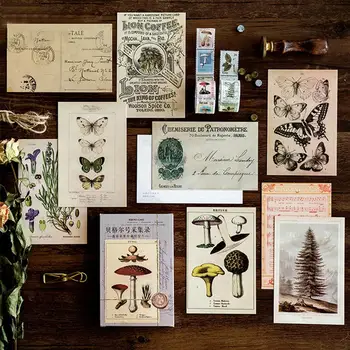 

30pcs/Box Ancient Forest Ancient Animals Plants Specimen Postcard Paper Greeting Card Invitation Letter Vintage Retro Style