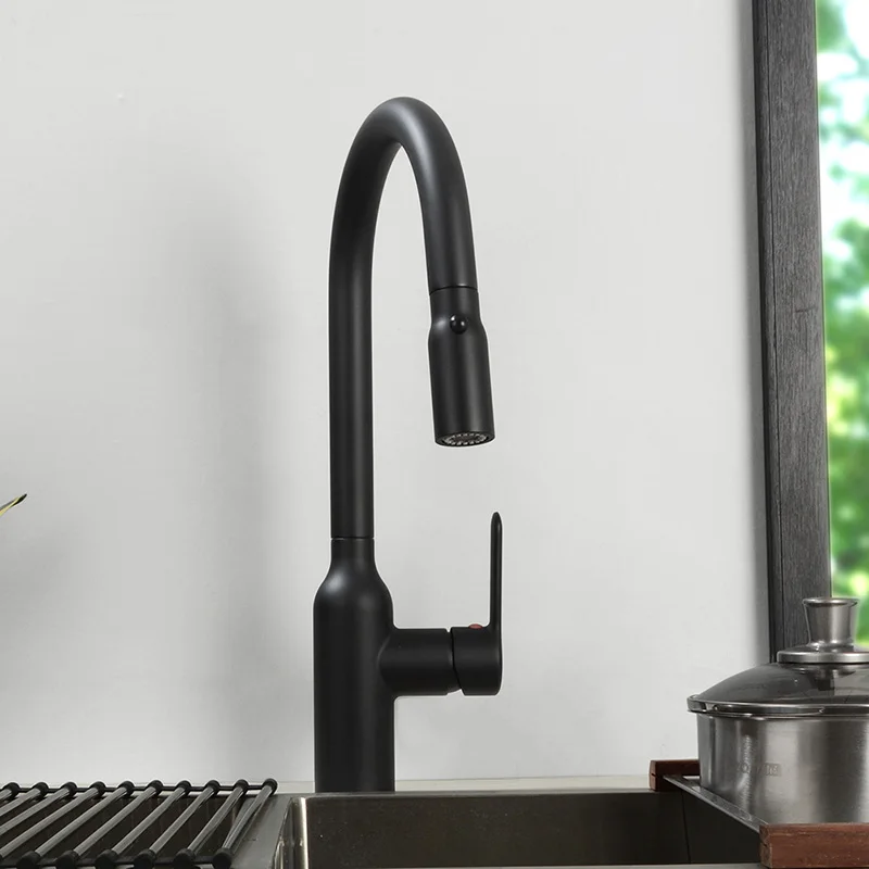 Dual Function Kitchen Faucet Pull Out Tap Head Kitchen Sink Water Mixer Faucet Black & Chrome Color