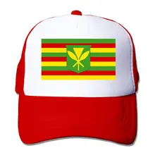 Гавайский флаг унисекс Сетка Регулируемая простая бейсбольная кепка Дальнобойщик Шляпа