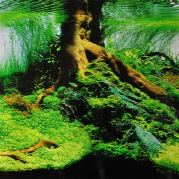 

Non-self-adhesive HEIGHT 30CM WATERPROOF Aquarium Fish Tank Decoration Background Wallpaper Sticker Ornament PET Accessories