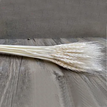 

100pc natural dried flower bouquets natural white color dried ear of wheat bouquets&wheat ear Bunches