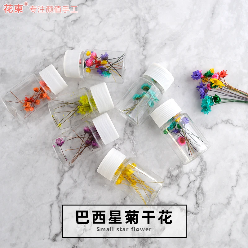 20191207 巴西星菊干花