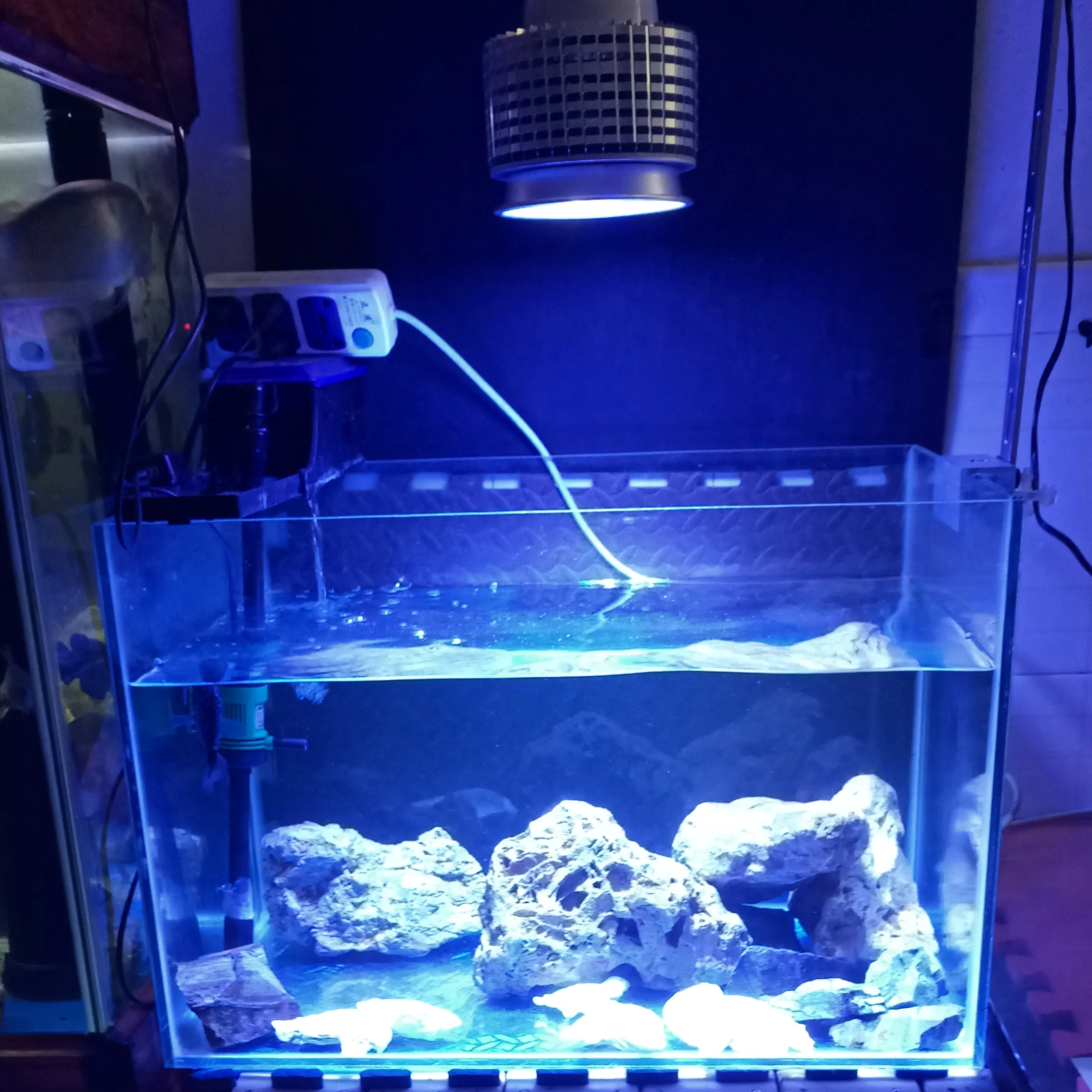 

Customize 40W LED Aquarium Coral Grow Light Fish Tank Lamp reef bulb algae Plant Aquarium marine grown for Corals Reefs Fish SPS