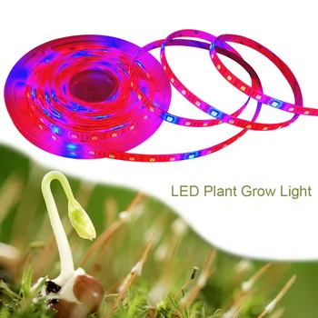 

Phytolamp for plants 5050 LED Strip Waterproof Led Grow Light Full Spectrum Phyto Lamp Red Blue Lights for Greenhouse Hydroponic