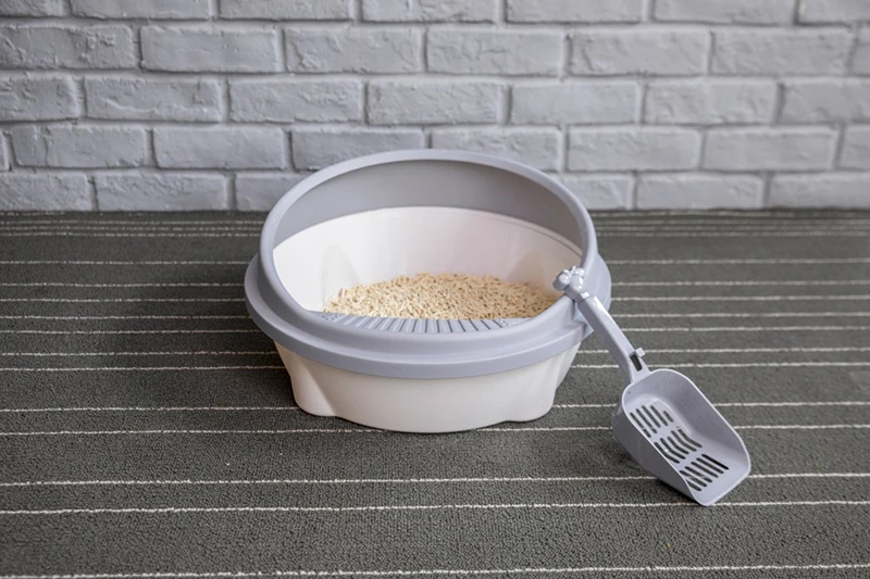 13620286201_832618485