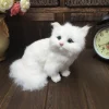 Realistic Plush Toy Simulation Cat Doll White Persian Cats Lifelike Kitten Model Birthday New Year Gift Home Decor Ornament 6