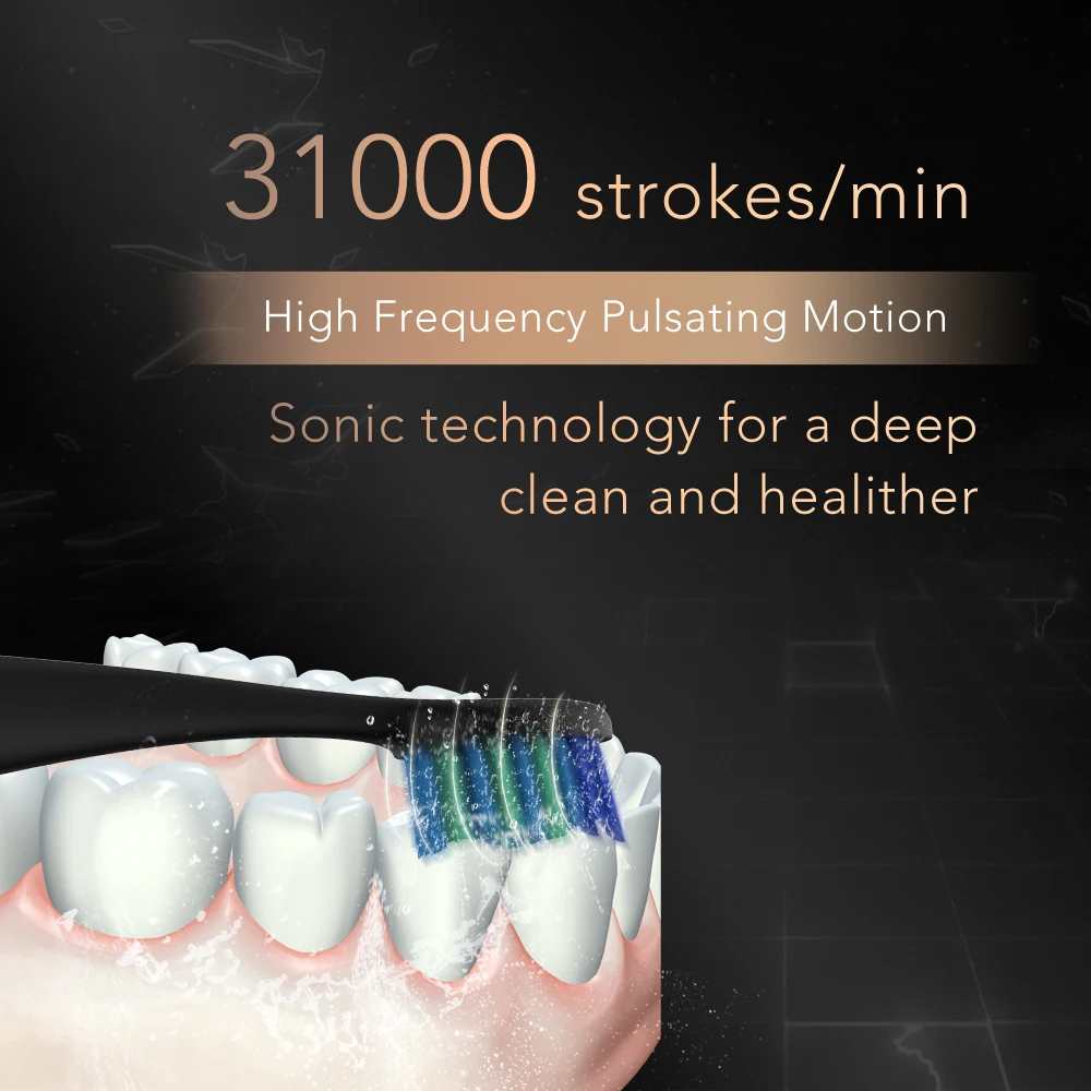 Seago электрическая зубная щетка для взрослых escova de dente Глубокая чистка зубов с 3 головками для ухода за зубами Черная пятница лучшая щетка 986