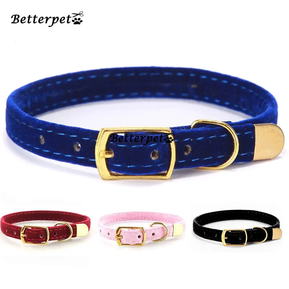 Pet Collar Cat Safety Collar Puppies Cat Collar Small Dog kitten Solid Collar Pet Collar Cat Safety Collar Puppies Cat Collar Small Dog kitten Solid Collar