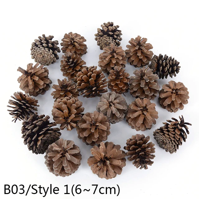 1-10pcs Natural Pine Nuts Fruit Dried Artificial Flower Pineapple Cones for Christmas DIY Garland Wreath Wedding Home Decoration B03-5pcs