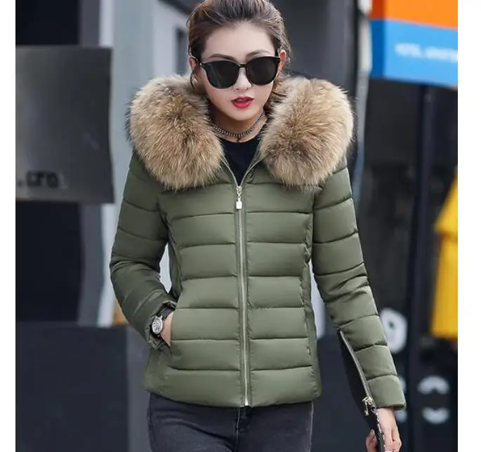 style3 Новинка зимы, короткий большой меховой воротник, хлопок, женский корейский вариант, тонкий, для похудения, хлопковый пуховик - Цвет: style3