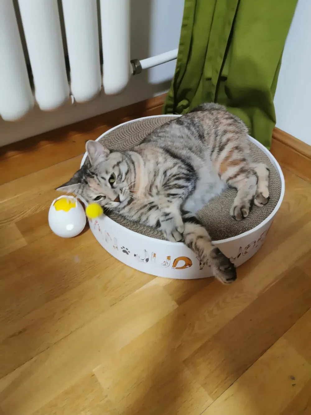 Xiaomi Mijia Pet Smart Electric Companion Ball  (7)