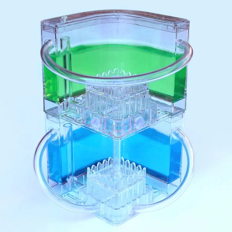 

Double Layer ma yi zhuang yuan Ant Farm Ant Nest Home Farm Ecology Villa Send Queen Gift