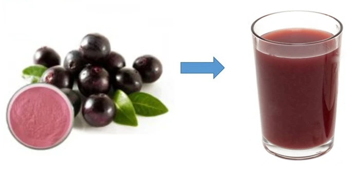 acai berry fruit powder_副本